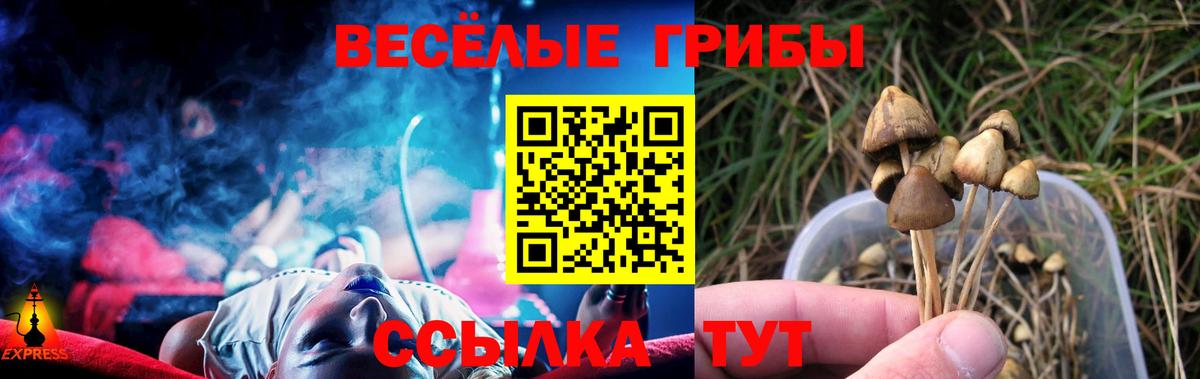 Псилоцибиновые грибы мицелий  Вход с VPN  Якутск  Галлюциногенные грибы Psilocybe 